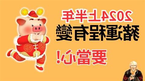 2024年 豬